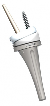 Reverse Shoulder System