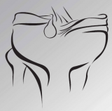 Meniscal Allograft “Keyhole”